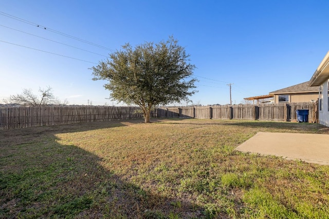 view of yard featuring a fenced backyard and a patio