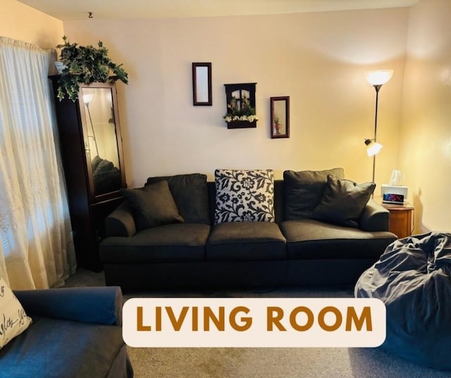 living room featuring carpet flooring