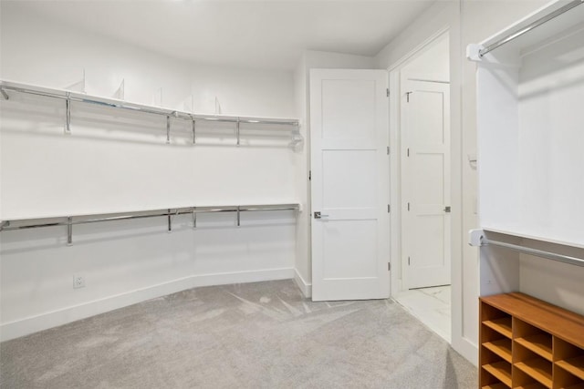 walk in closet with carpet floors