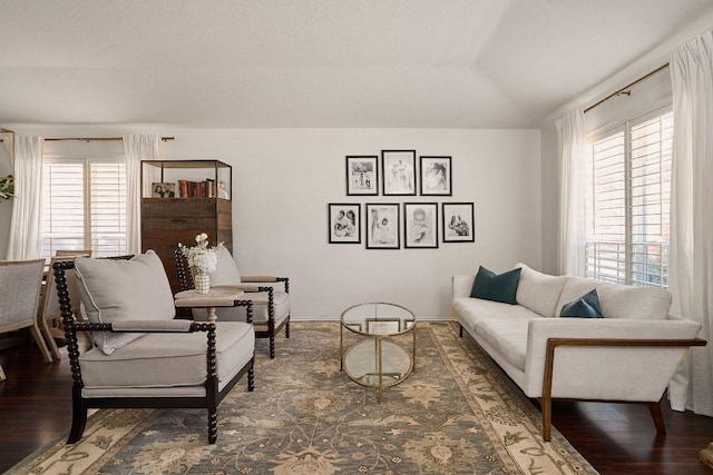 living area featuring vaulted ceiling and wood finished floors