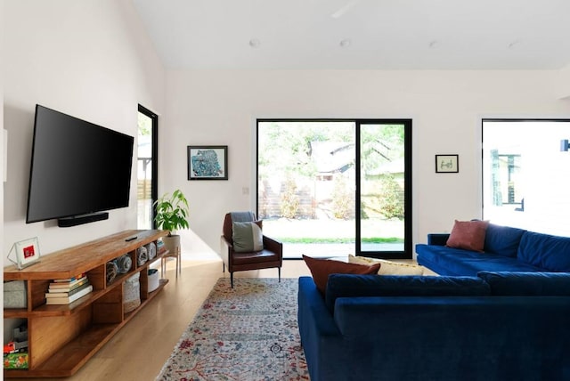 living room with light wood-type flooring and a healthy amount of sunlight