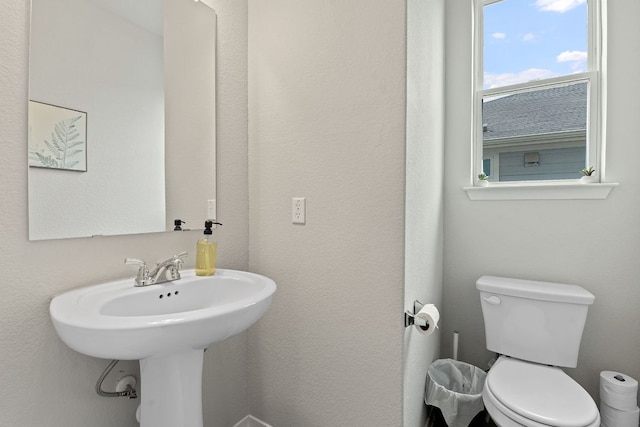 236 Stein Rd, Georgetown, TX 78626 - photo 23