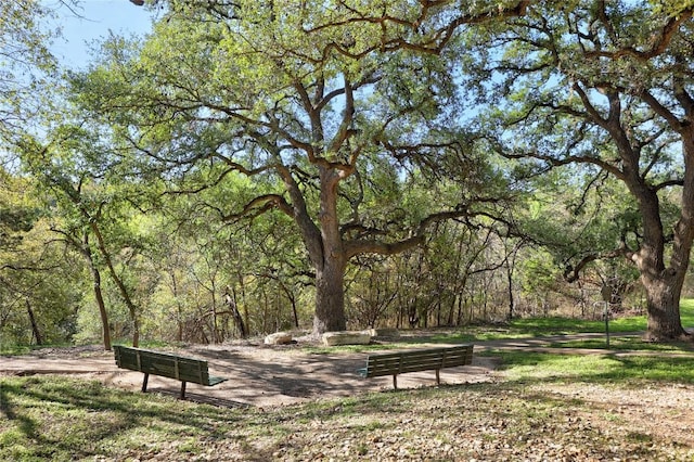 view of community with a forest view