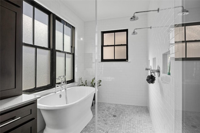 bathroom featuring a freestanding tub, plenty of natural light, and walk in shower