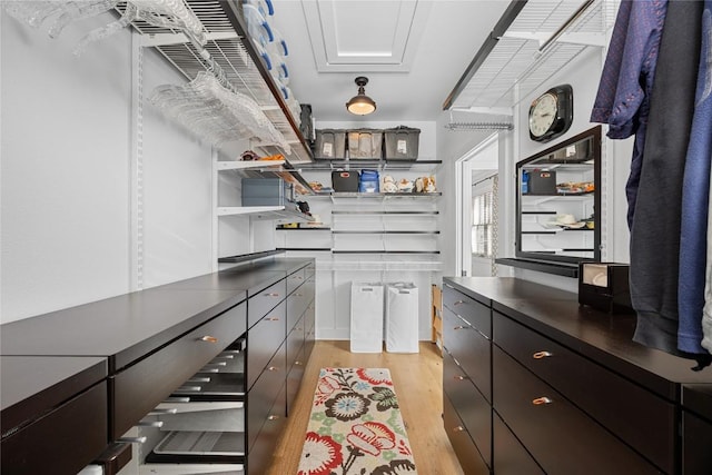 spacious closet featuring light wood-style floors