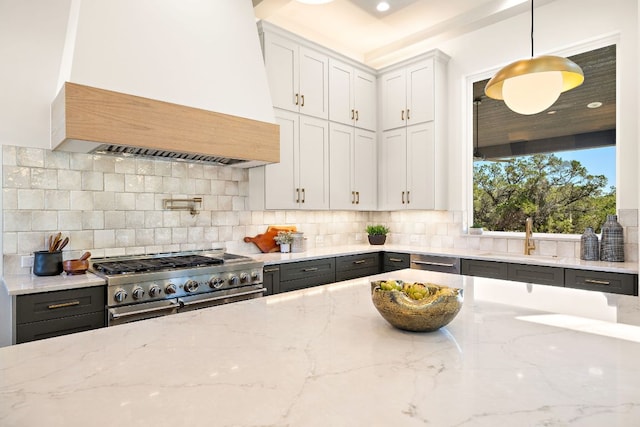 kitchen featuring a sink, light stone countertops, stainless steel appliances, premium range hood, and backsplash