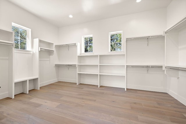 spacious closet with wood finished floors