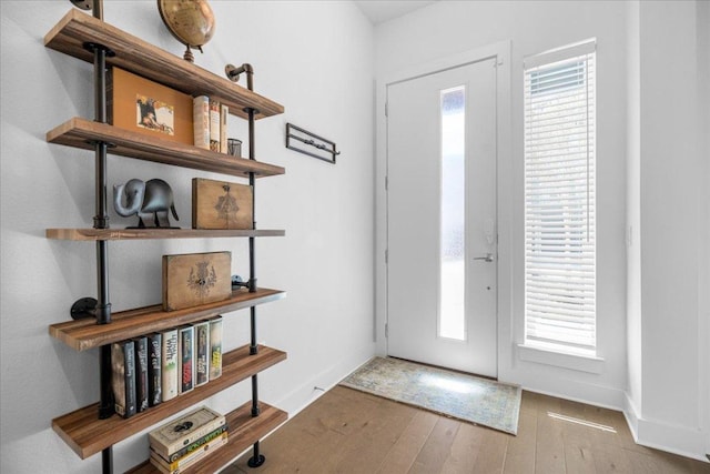 entryway with plenty of natural light, wood-type flooring, and baseboards