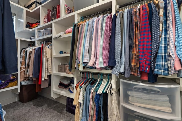 spacious closet with carpet flooring