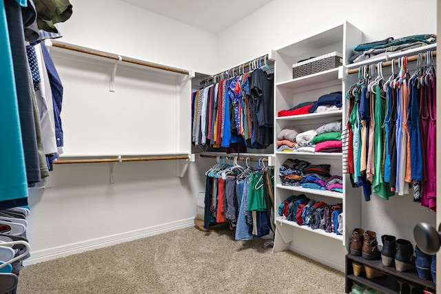 walk in closet with carpet flooring