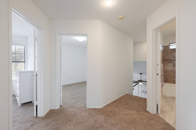 corridor featuring carpet flooring