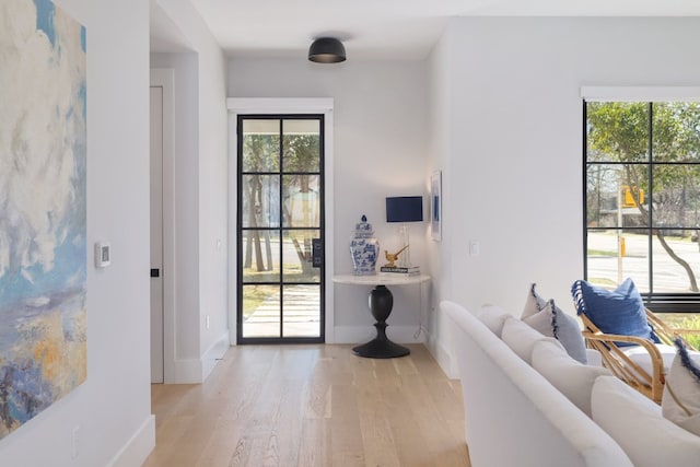 foyer featuring light wood finished floors, plenty of natural light, and baseboards