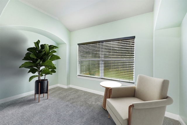 sitting room with lofted ceiling, carpet flooring, and baseboards