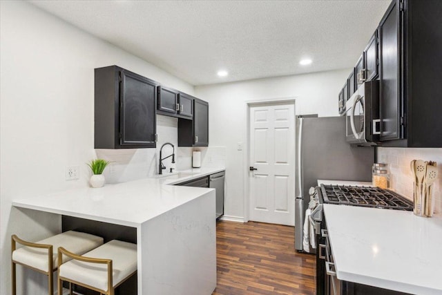 kitchen with a peninsula, dark cabinetry, stainless steel appliances, and a sink