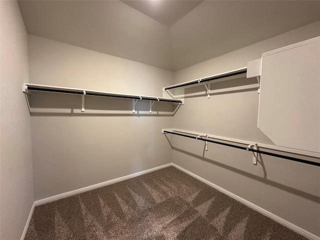 spacious closet with carpet floors