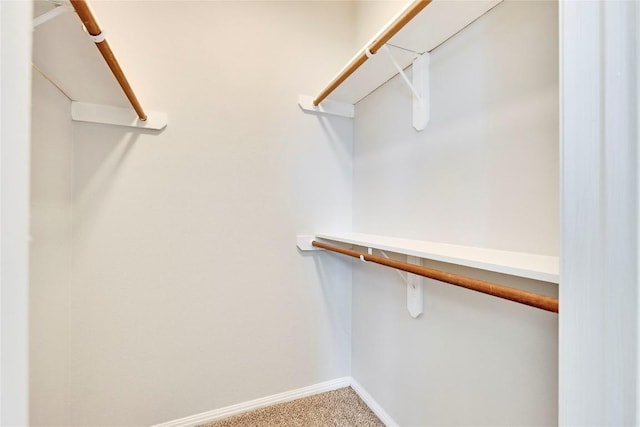 spacious closet with carpet floors