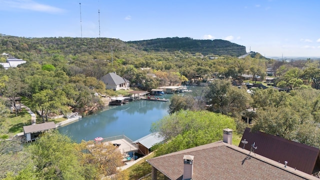 bird's eye view featuring a water view and a wooded view