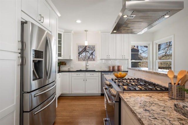 kitchen featuring stainless steel appliances, ventilation hood, a sink, and a wealth of natural light