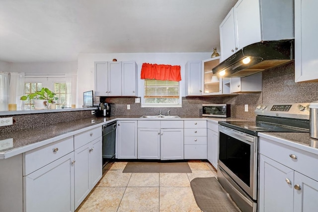 kitchen with tasteful backsplash, ventilation hood, stainless steel appliances, and a sink