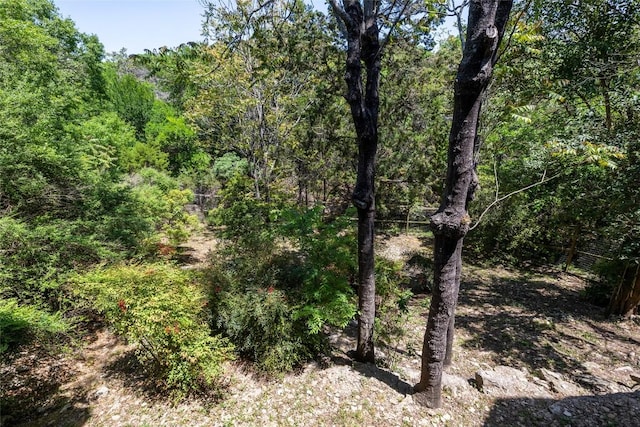 view of local wilderness with a forest view