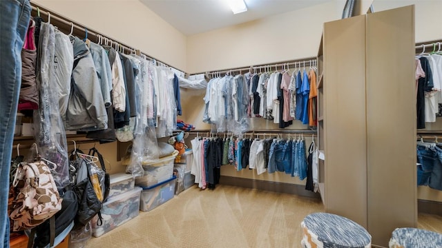 spacious closet with carpet