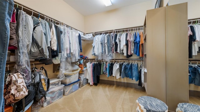 15100 Canary St, Austin, TX 78734 - spacious closet featuring carpet floors