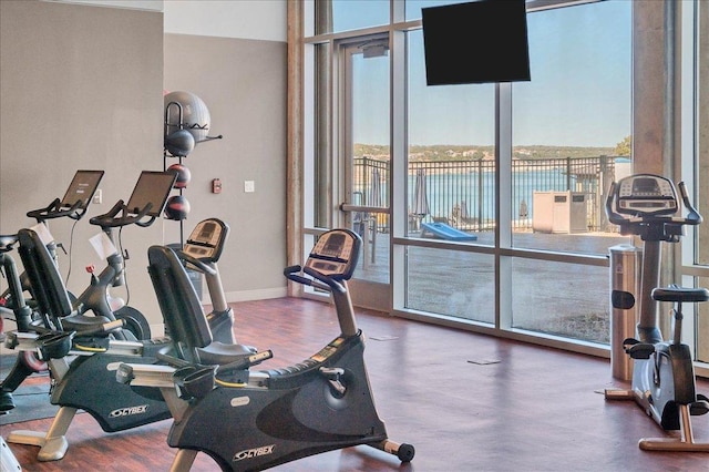 gym featuring floor to ceiling windows, baseboards, and wood finished floors