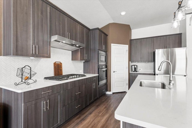 kitchen featuring light countertops, appliances with stainless steel finishes, a sink, dark brown cabinetry, and under cabinet range hood