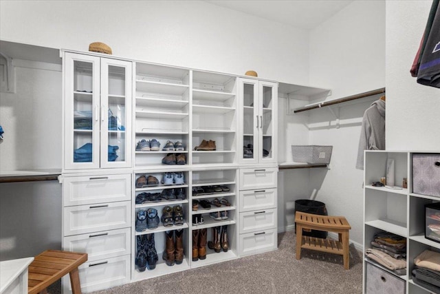 spacious closet featuring carpet floors