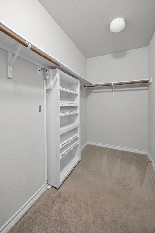 spacious closet with carpet floors