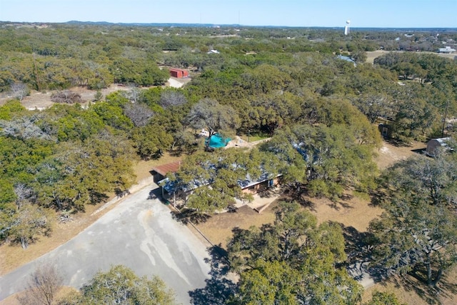 1876 Rocky Rd, Blanco, TX 78606 - aerial overview of property's location featuring a forest