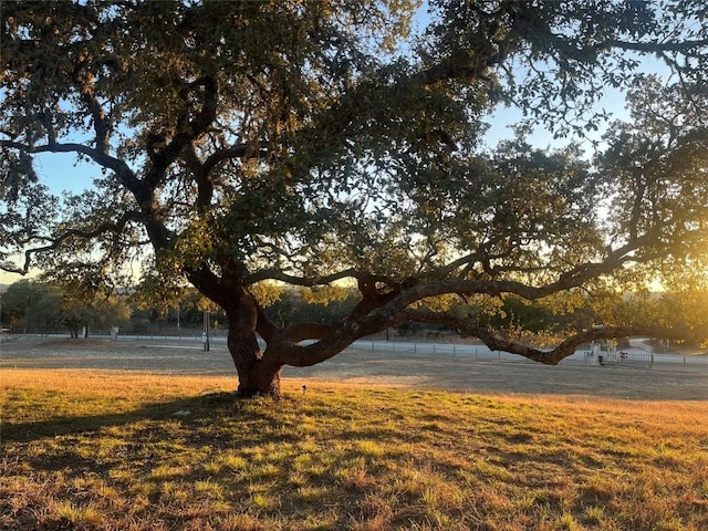 1876 Rocky Rd, Blanco, TX 78606 - view of grassy yard