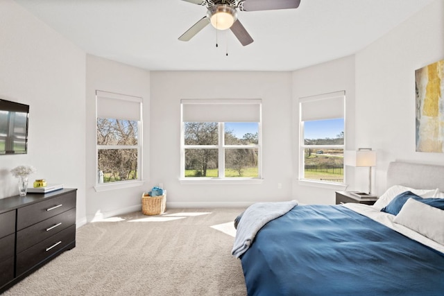 193 Raptor Beak Way, Cedar Creek, TX 78612 - bedroom featuring carpet flooring, multiple windows, and ceiling fan