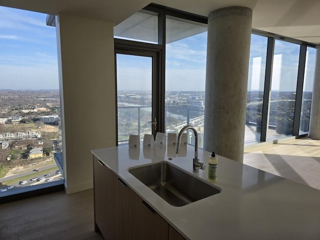 kitchen with modern cabinets, light countertops, a sink, wood finished floors, and a wall of windows