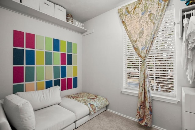 living area featuring carpet floors and baseboards