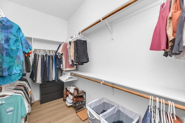 walk in closet with wood finished floors