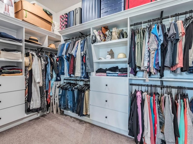 spacious closet featuring carpet floors