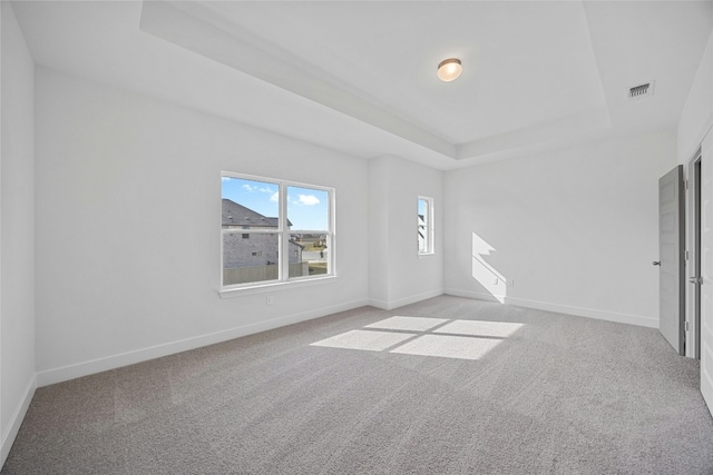 216 Echo Pass, Liberty Hill, TX 78642 - carpeted empty room featuring a tray ceiling and baseboards