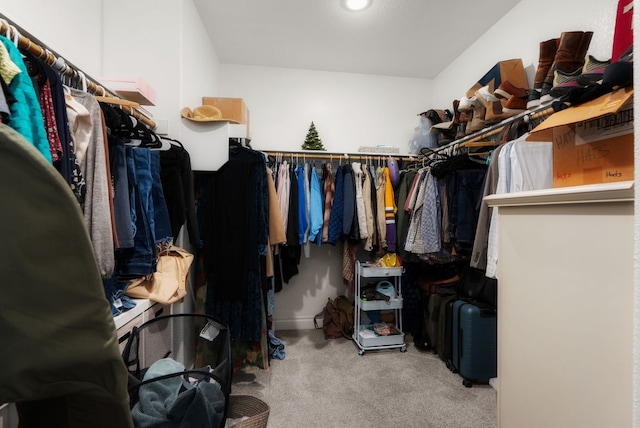 walk in closet with carpet