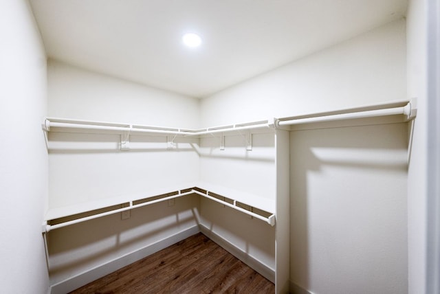 walk in closet featuring dark wood-style floors