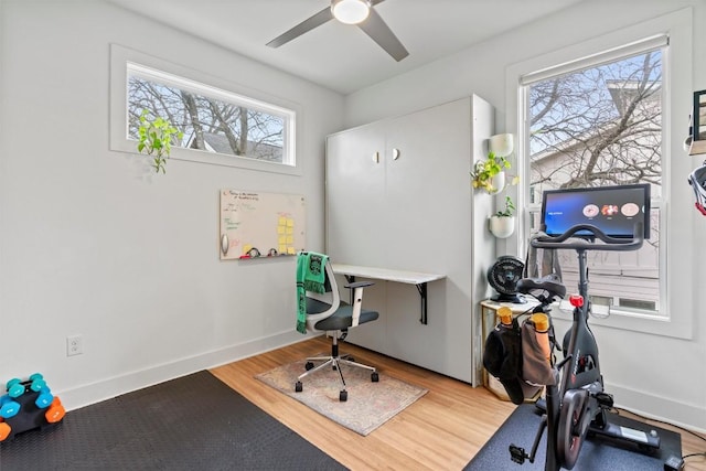 office space featuring a healthy amount of sunlight, baseboards, and wood finished floors