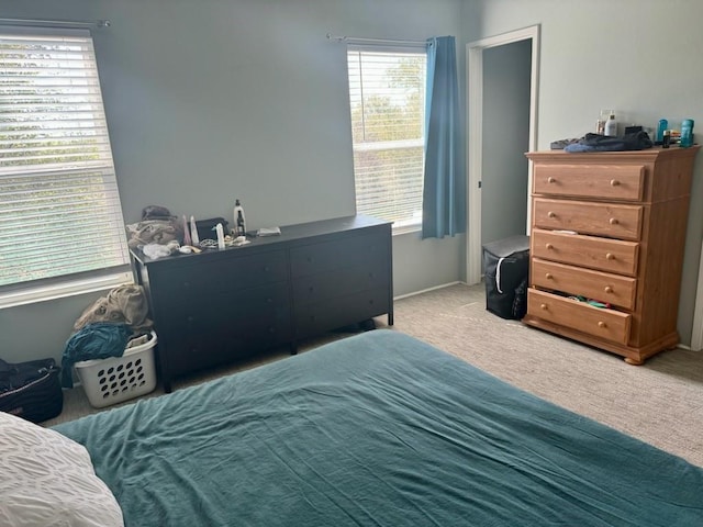 bedroom featuring carpet flooring