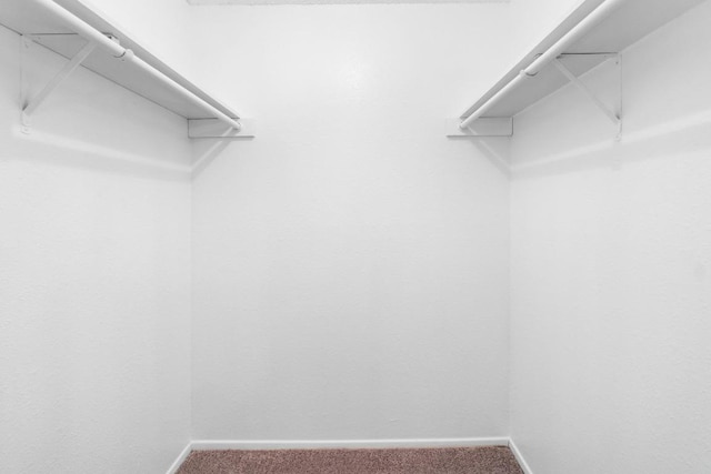 walk in closet featuring carpet