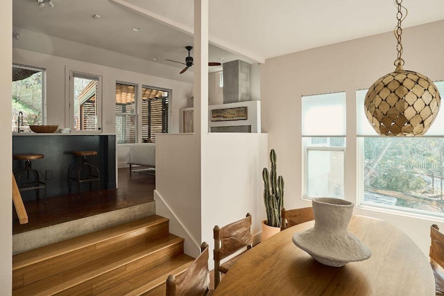 dining area with plenty of natural light, stairs, a ceiling fan, and wood finished floors