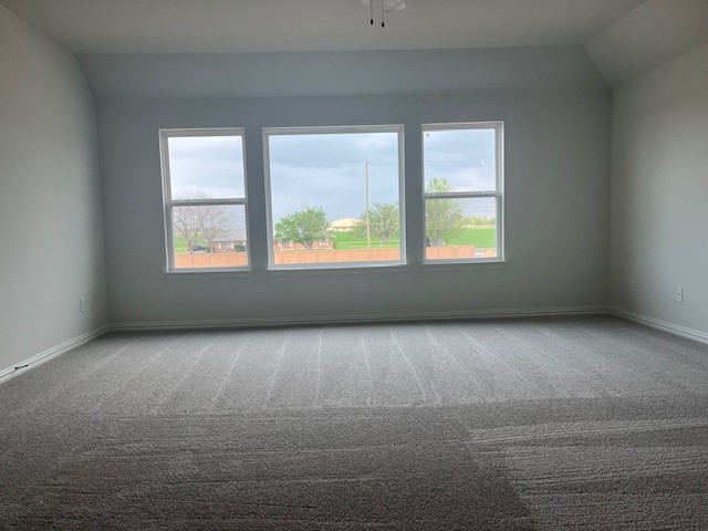 503 Ansley Ct, Taylor, TX 76574 - spare room featuring carpet flooring, healthy amount of natural light, baseboards, and lofted ceiling
