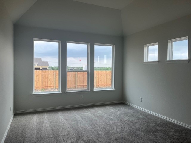 503 Ansley Ct, Taylor, TX 76574 - carpeted spare room with baseboards and lofted ceiling