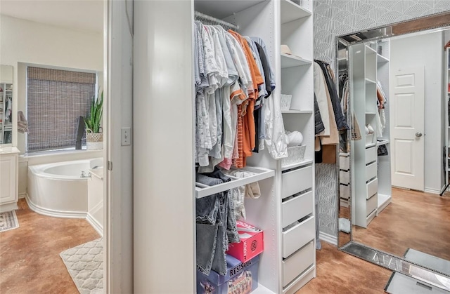 view of spacious closet