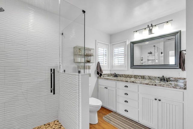 bathroom with double vanity, a shower stall, wood finished floors, and a sink