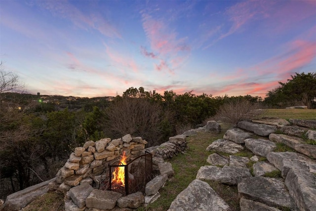 view of local wilderness
