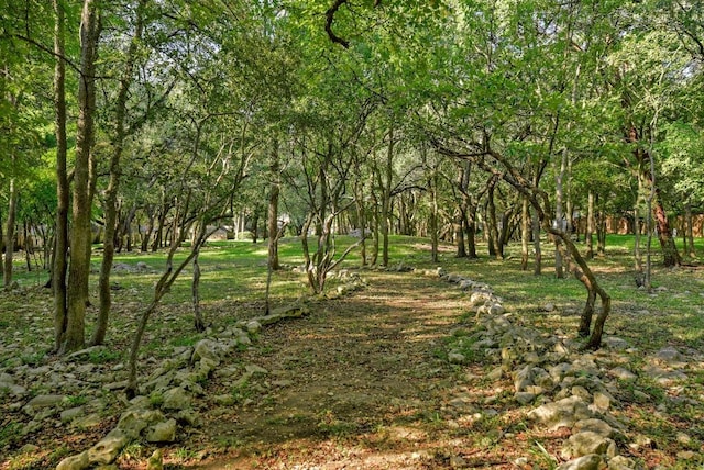 view of local wilderness featuring a wooded view